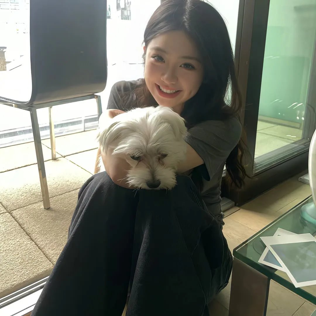 轰炸达尔文：尴尬的真相