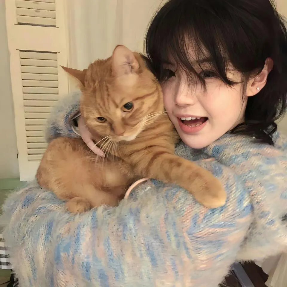 识骨寻踪第八季